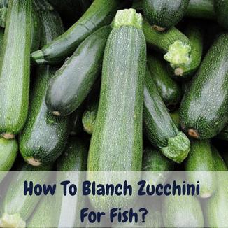 Easy Steps To Blanch Zucchini For Fish GreenThumbsGuide