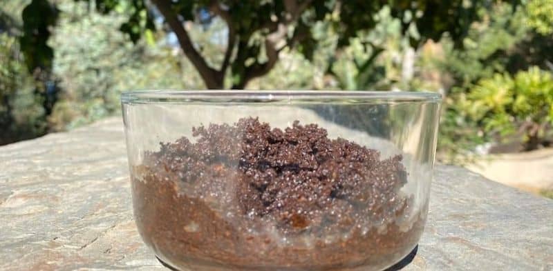 Are Coffee Grounds Good For Strawberry Plants?