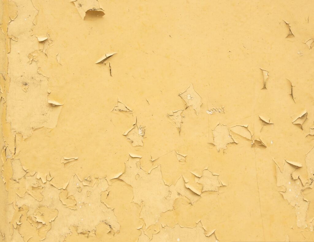 Cherry Tomatoes Plant Has Yellow Leaves Cherry Tomatoes Plant Has Yellow Leaves