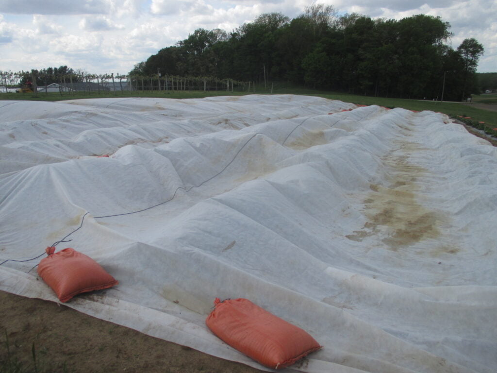 How Do You Cover Strawberries For Frost? How Do You Cover Strawberries For Frost?
