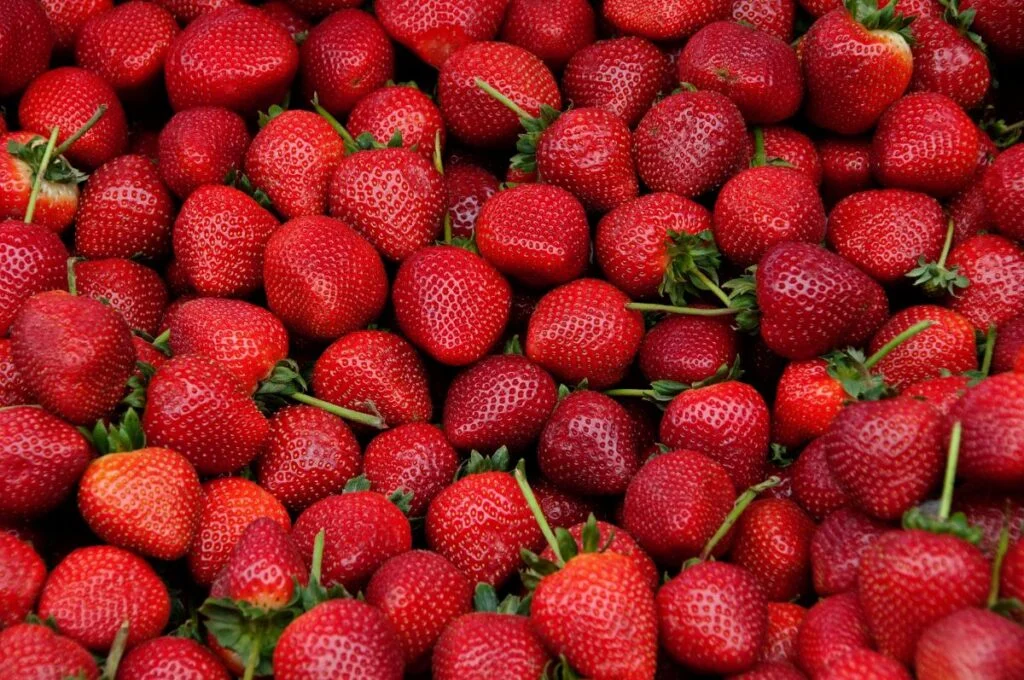 How Many Strawberries Are Produced Per Plant?