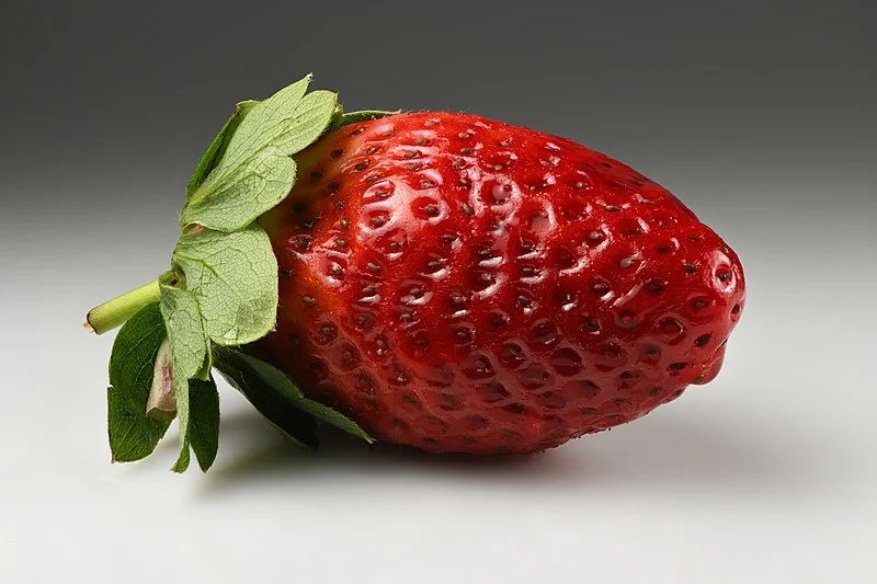 What Plant Family Are Strawberries In? What Plant Family Are Strawberries In?