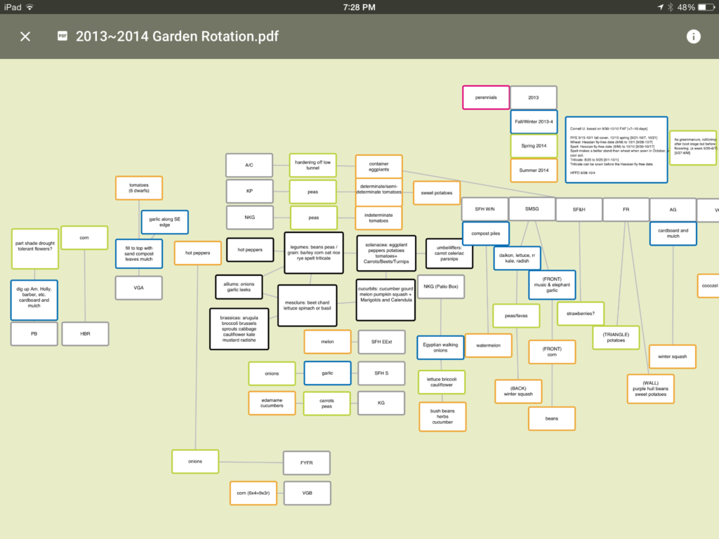 What Should I Plant After Tomatoes What Should I Plant After Tomatoes