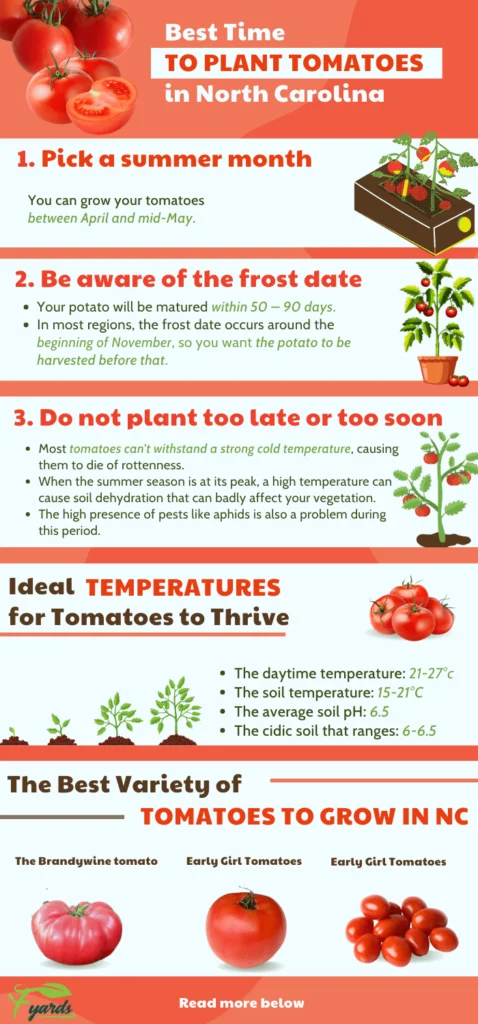 What Temperature Do Tomatoes Grow Best In?