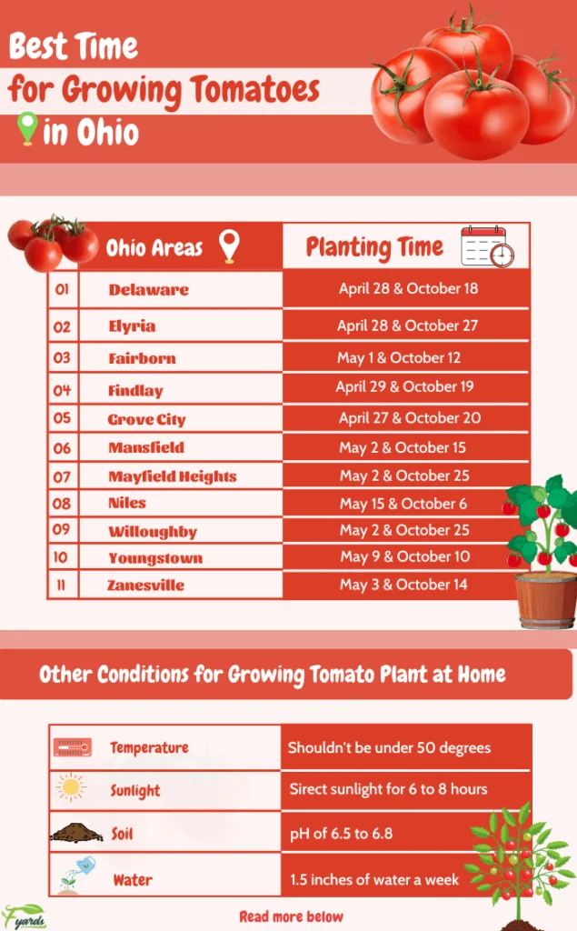 What Time Of Year Do You Plant Tomatoes
