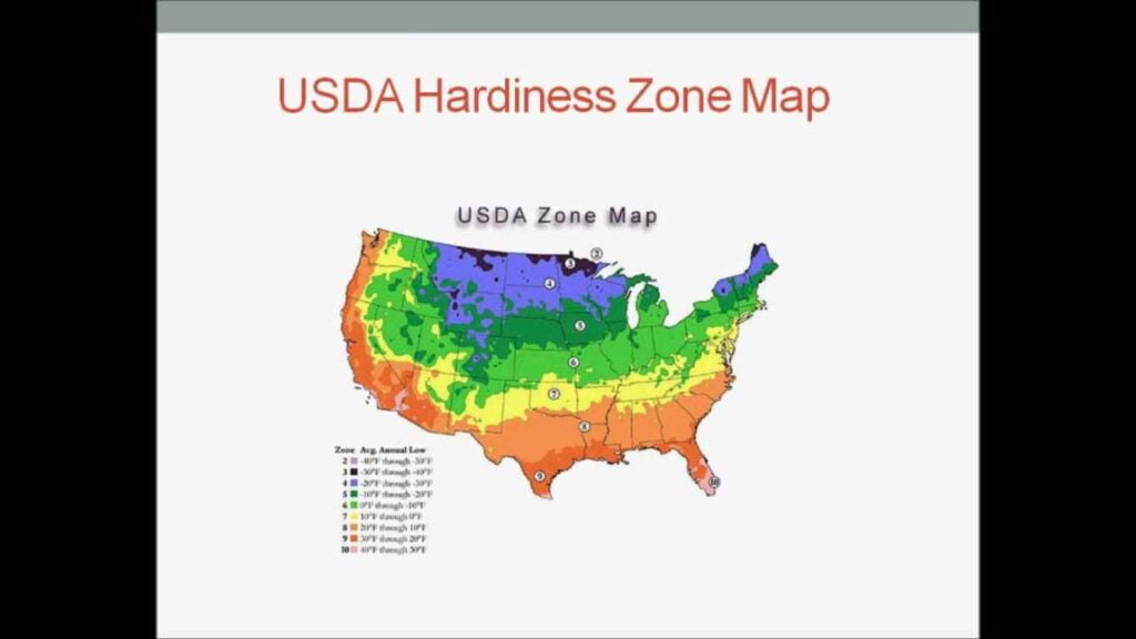 What Time Of Year Do You Plant Tomatoes What Time Of Year Do You Plant Tomatoes