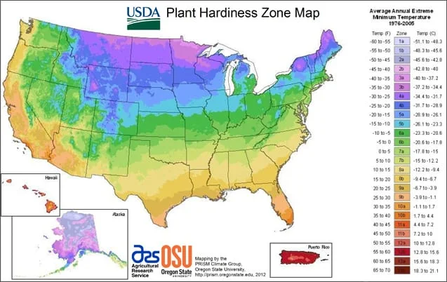 What Time Of Year Do You Plant Tomatoes