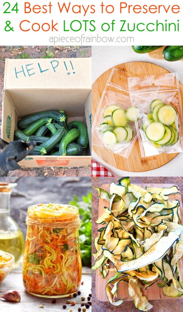10 Ways to Preserve Zucchini