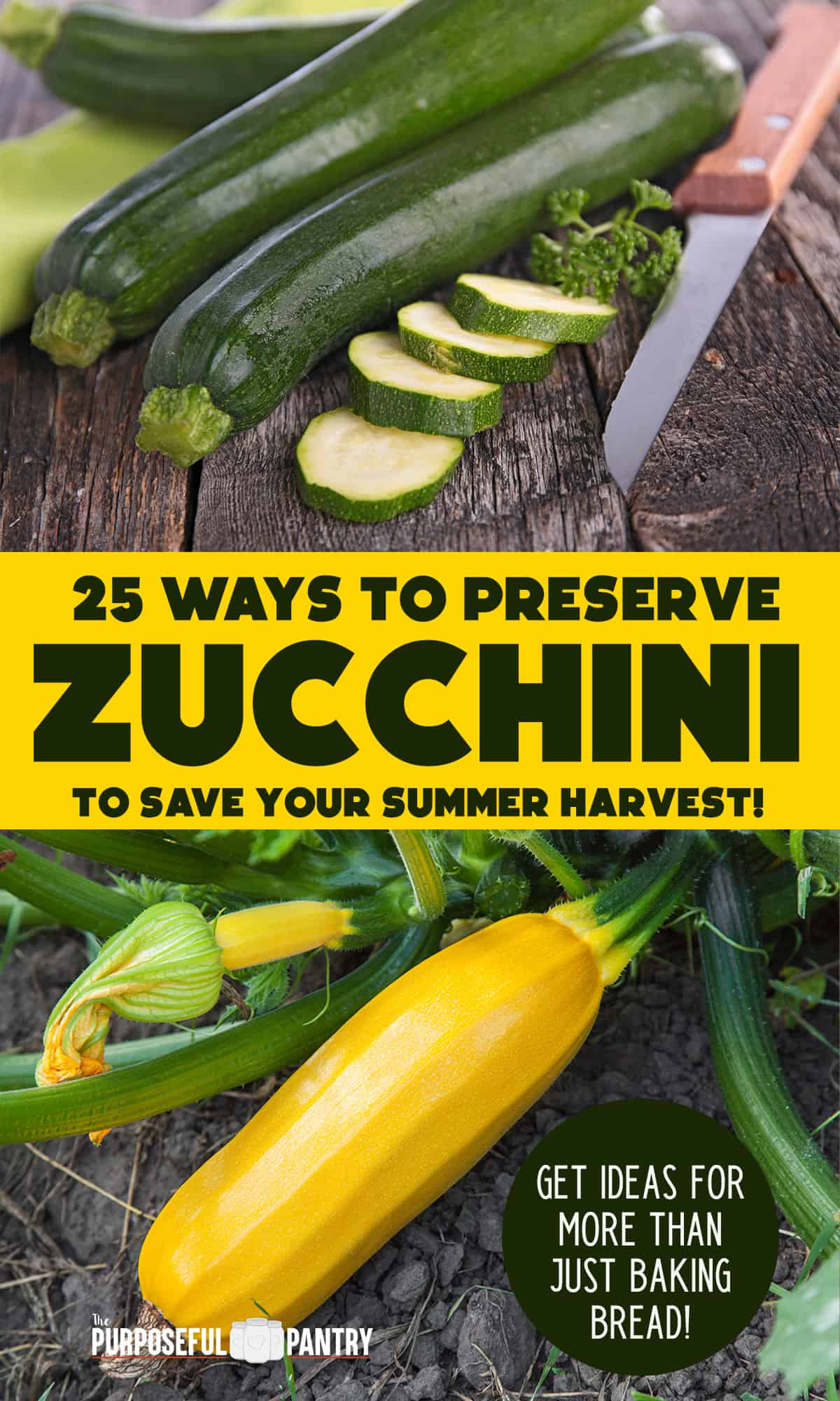 10 Ways to Preserve Zucchini