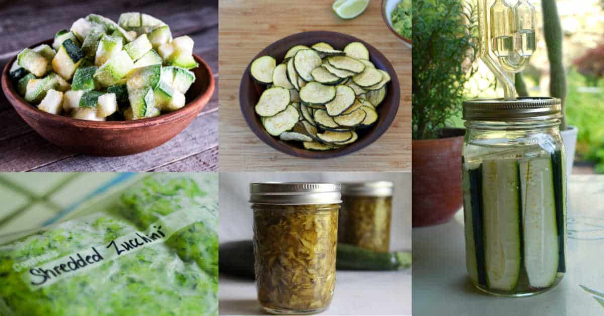 10 Ways to Preserve Zucchini