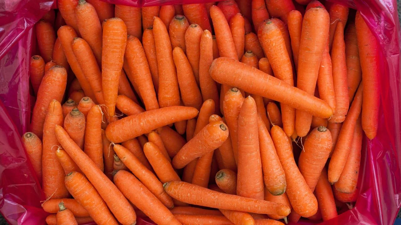 6 Creative Ways to Store Carrots without Refrigeration