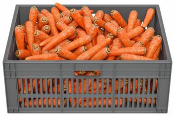 6 Creative Ways to Store Carrots without Refrigeration 6 Creative Ways to Store Carrots without Refrigeration