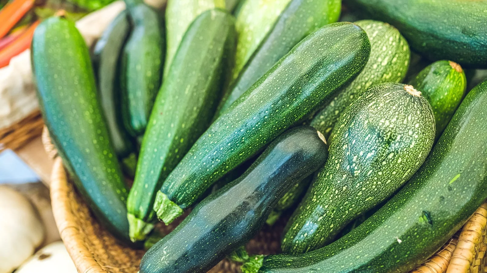 6 Creative Ways to Use Zucchini Plants at the End of the Season