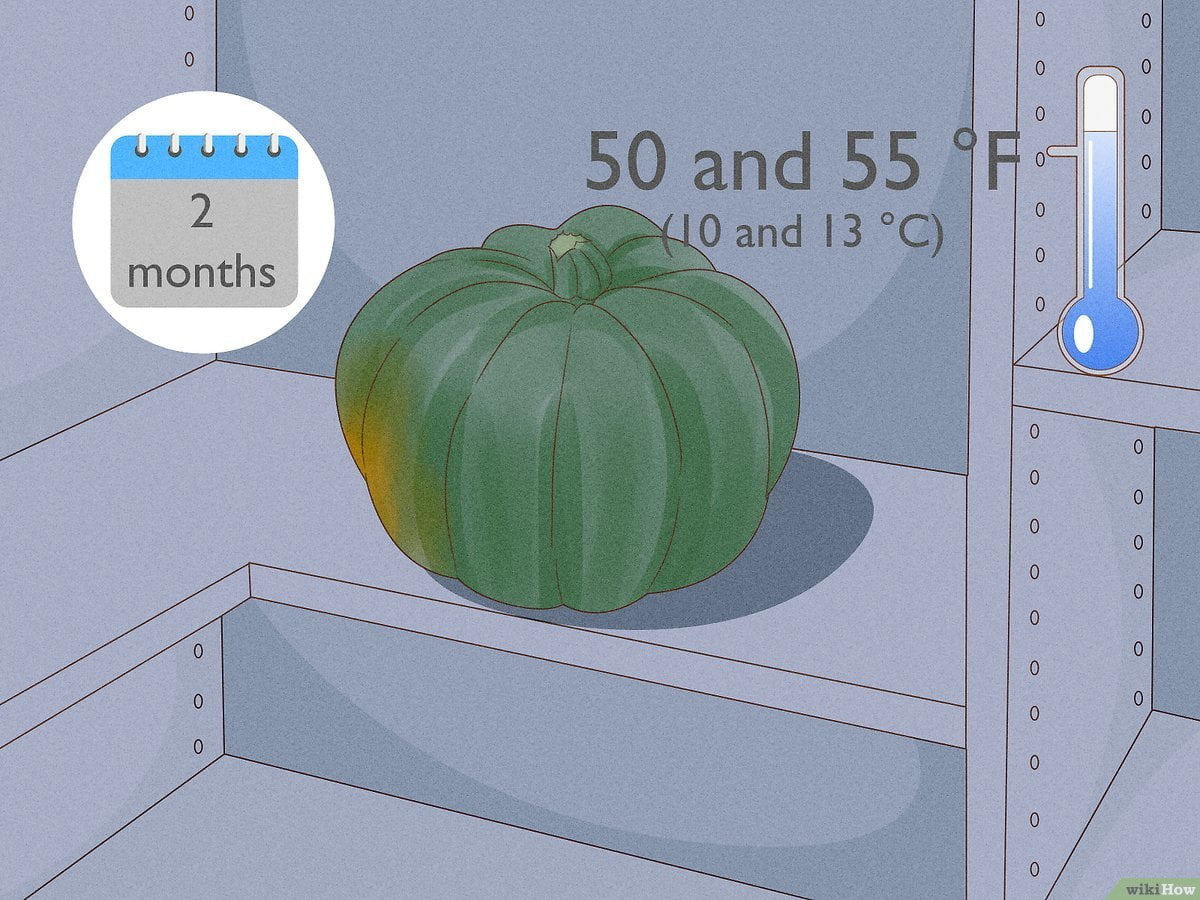 A Beginners Guide: How Does Acorn Squash Grow? A Beginners Guide: How Does Acorn Squash Grow?