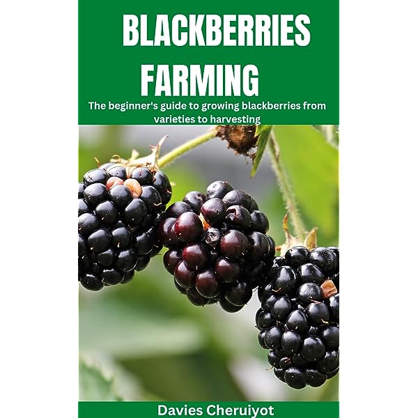 A Beginner's Guide to Growing Blackberries from Seed GreenThumbsGuide