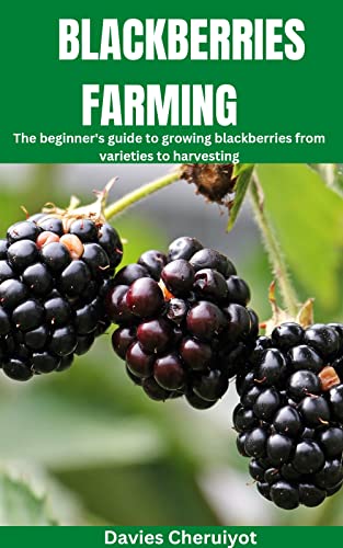 A Beginner's Guide to Growing Blackberries from Seed - GreenThumbsGuide