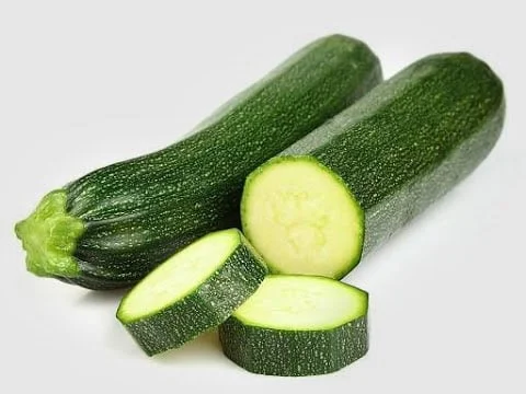 A Beginners Guide to Growing Zucchini from Scraps A Beginners Guide to Growing Zucchini from Scraps