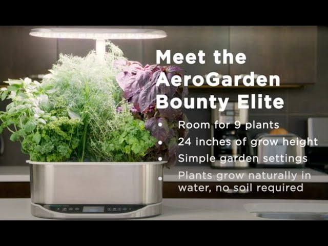 A Beginners Guide to Pruning Lettuce in an Aerogarden A Beginners Guide to Pruning Lettuce in an Aerogarden