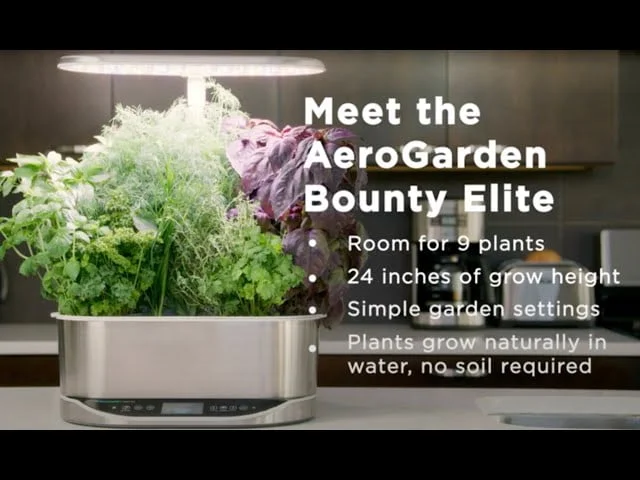 A Beginners Guide to Pruning Lettuce in an Aerogarden