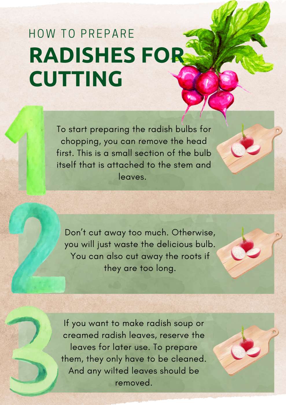 A Beginners Guide to Trimming Radishes A Beginners Guide to Trimming Radishes