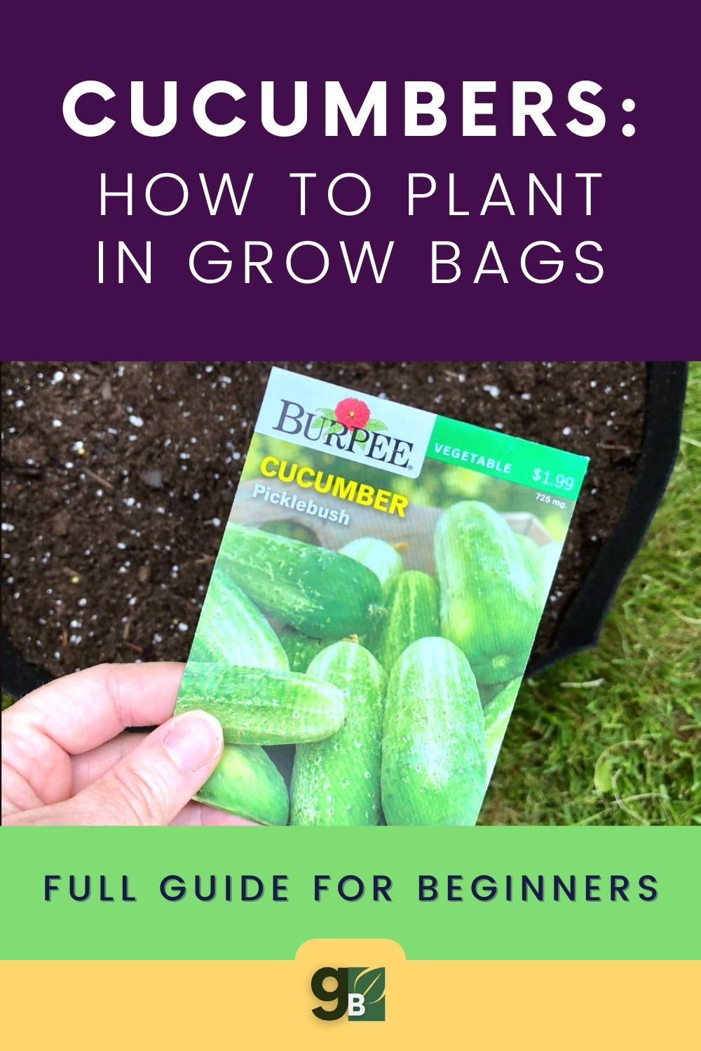 A Comprehensive Guide to Growing Cucumbers in Grow Bags A Comprehensive Guide to Growing Cucumbers in Grow Bags