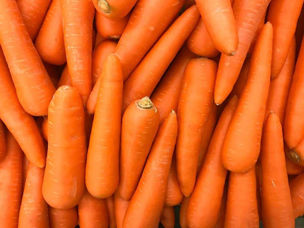 A Step-by-Step Guide on Freezing and Drying Carrots A Step-by-Step Guide on Freezing and Drying Carrots