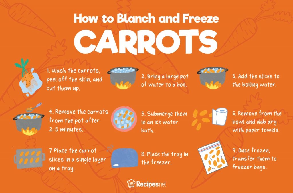 A Step-by-Step Guide on Freezing and Drying Carrots A Step-by-Step Guide on Freezing and Drying Carrots