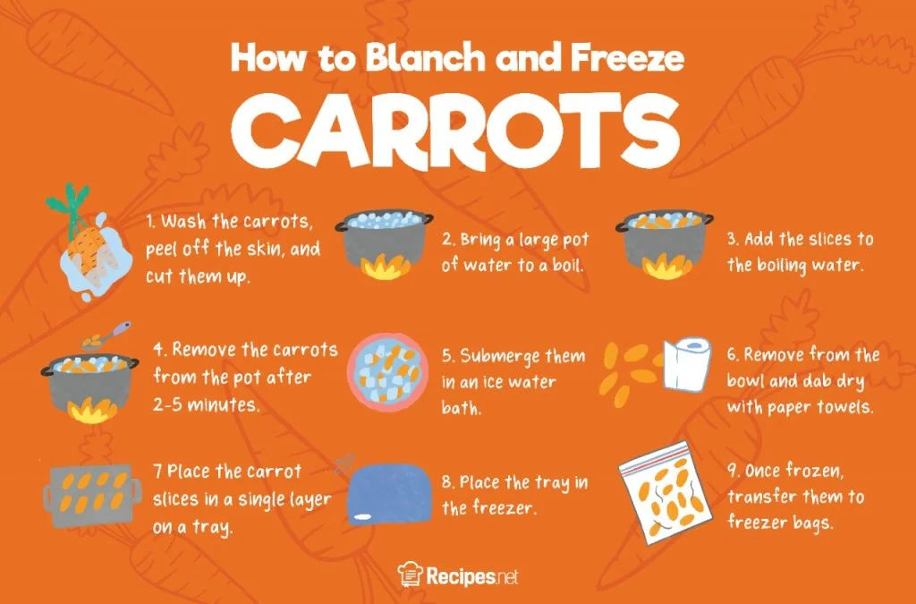 A Step-by-Step Guide on Freezing and Drying Carrots