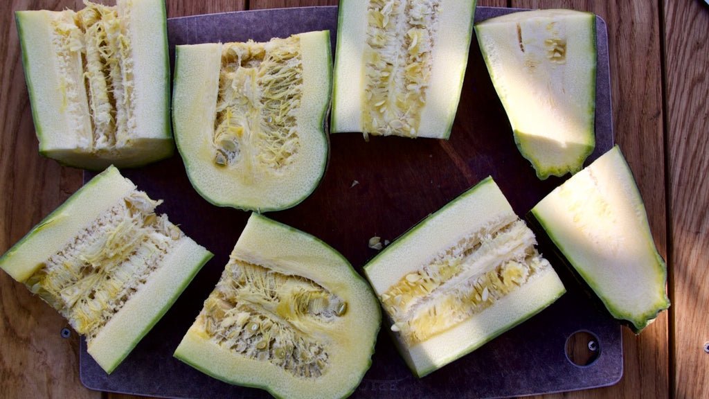 A Step-by-Step Guide to Saving Seeds from Zucchini