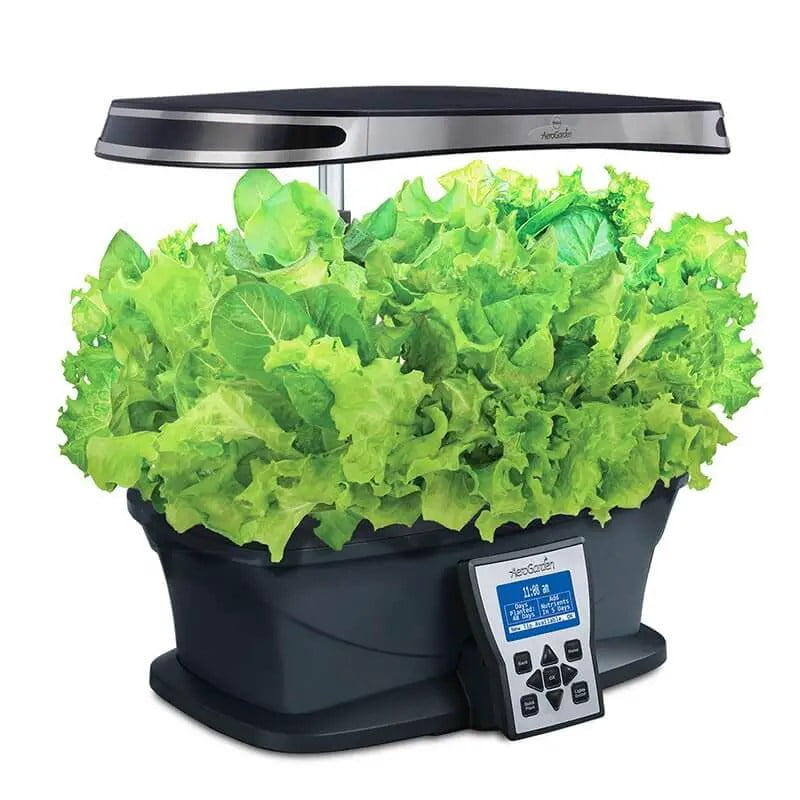 Aerogarden lettuce harvesting tips