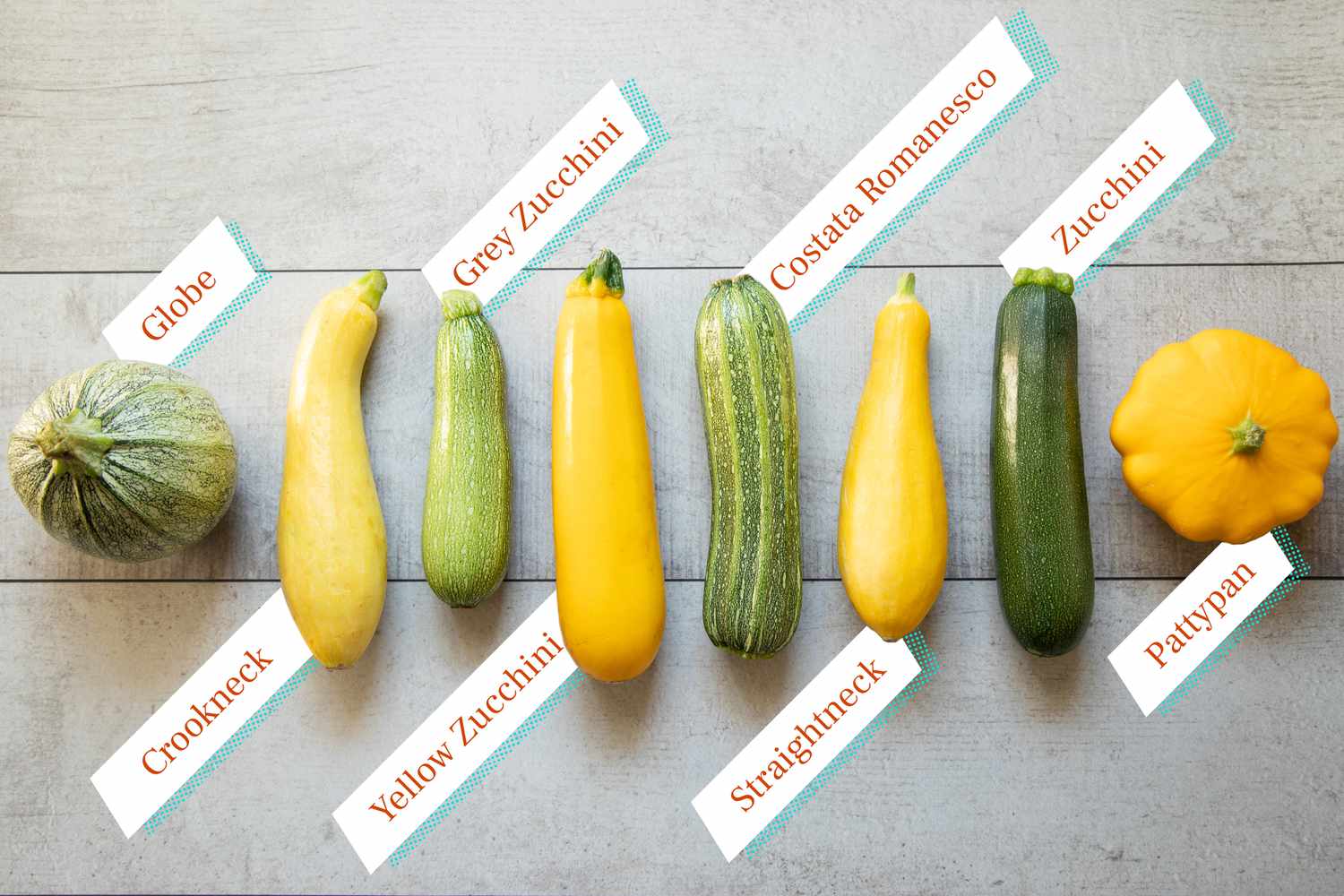 All About Yellow Squash Season All About Yellow Squash Season
