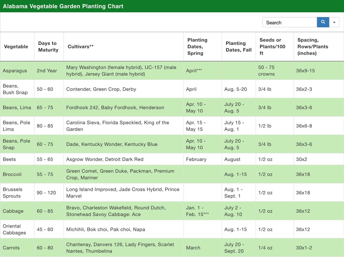 Best Time to Plant Lettuce in Alabama Best Time to Plant Lettuce in Alabama