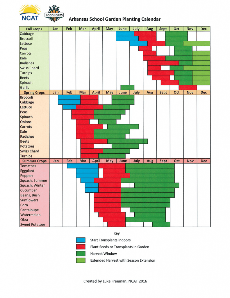 Best Time to Plant Lettuce in Arkansas Best Time to Plant Lettuce in Arkansas