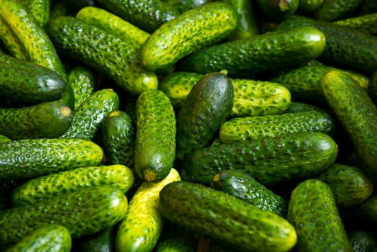 Common Causes of Spiky Cucumbers Common Causes of Spiky Cucumbers