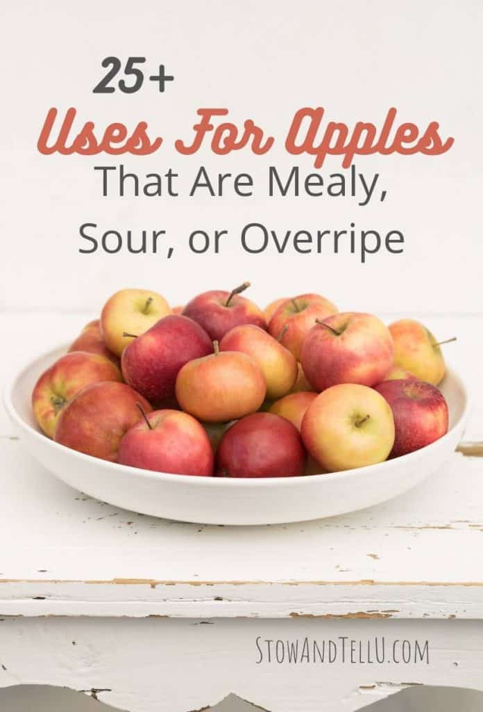 Delicious Ways to Use Mealy Apples Delicious Ways to Use Mealy Apples