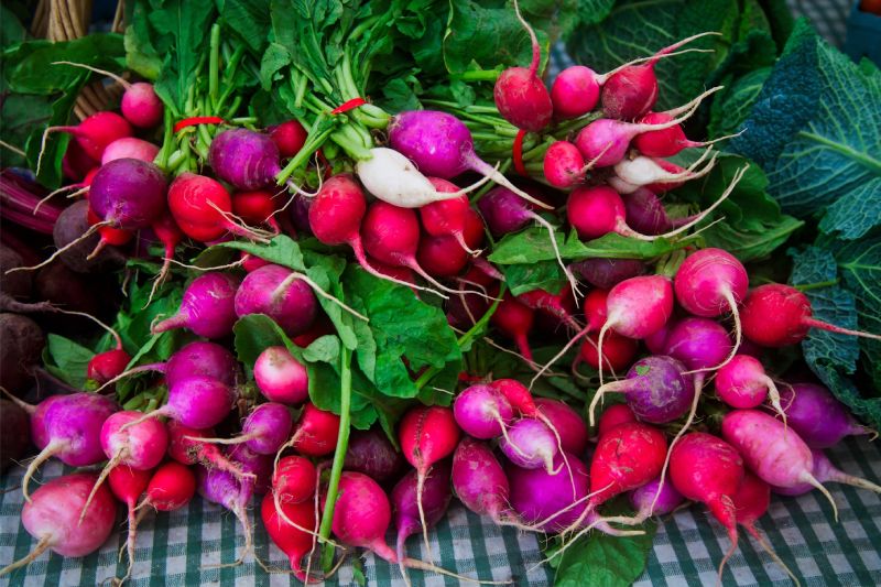 Exploring the Flavor Profile of Radishes Exploring the Flavor Profile of Radishes