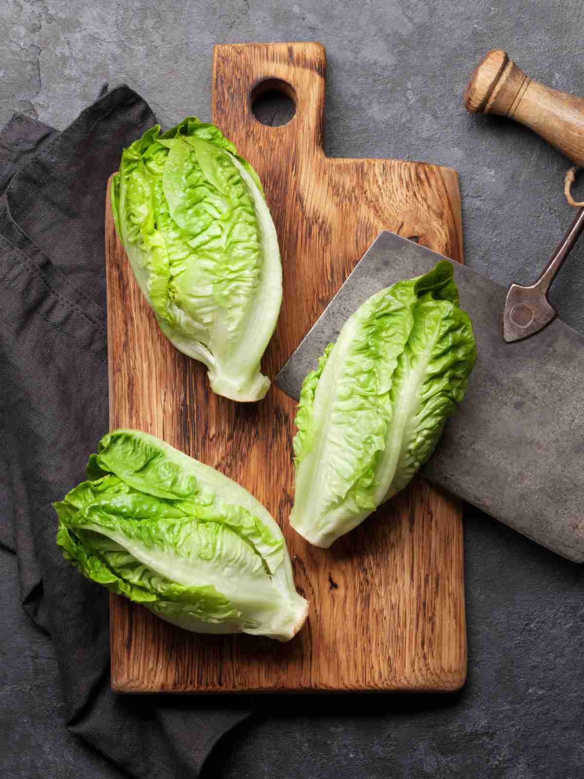 Exploring the Flavor Profile of Romaine Lettuce Exploring the Flavor Profile of Romaine Lettuce