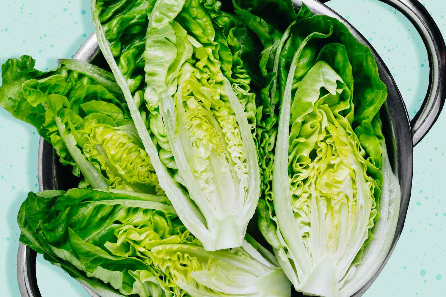Exploring the Flavor Profile of Romaine Lettuce Exploring the Flavor Profile of Romaine Lettuce