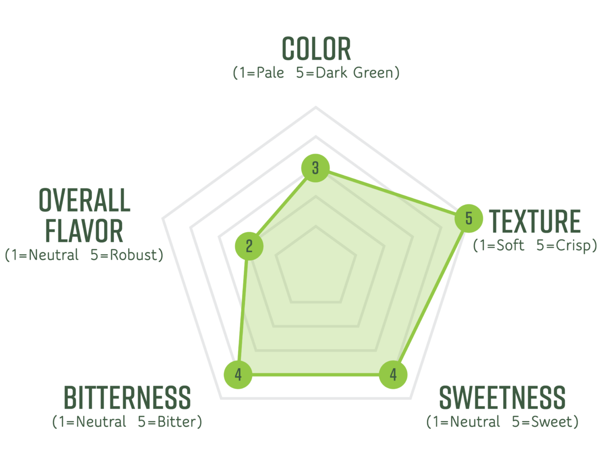 Exploring the Flavor Profile of Romaine Lettuce Exploring the Flavor Profile of Romaine Lettuce