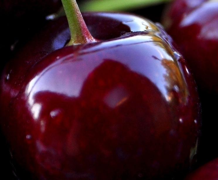 Exploring the Origins of Cherries Exploring the Origins of Cherries