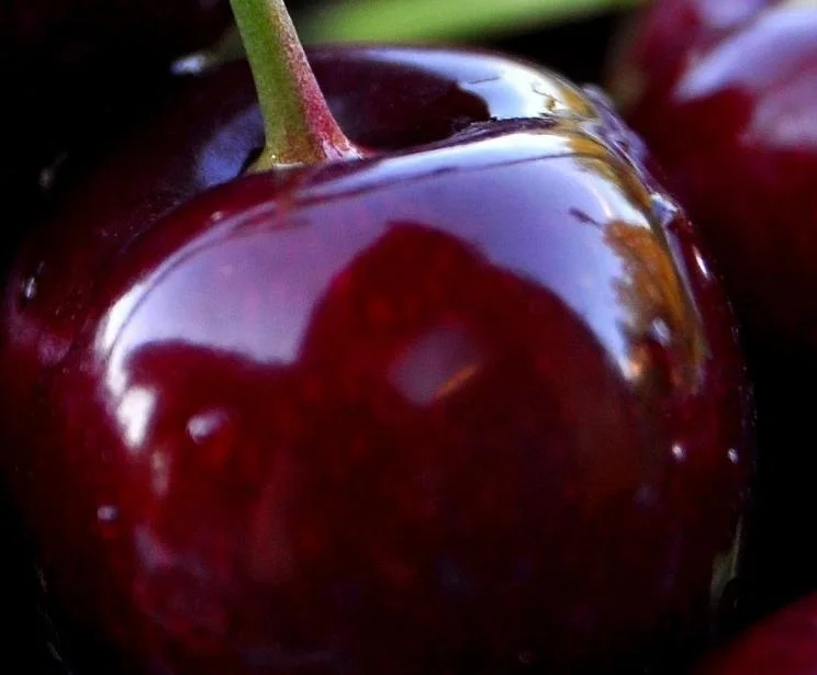 Exploring the Origins of Cherries