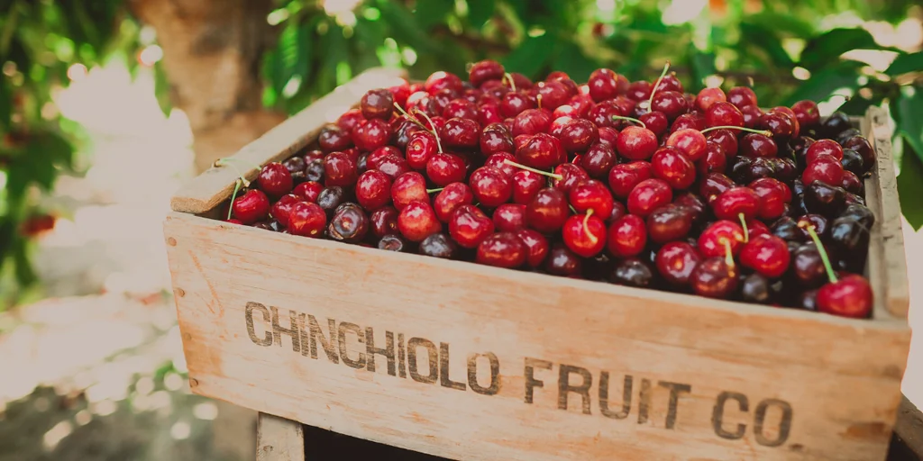 Exploring the Origins of Cherries