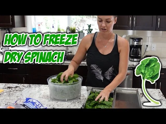 Freeze Drying Spinach: A Step-by-Step Guide