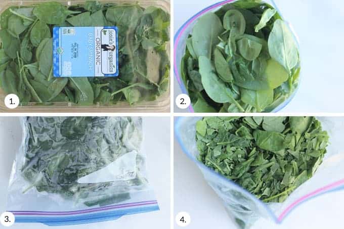 Freeze Drying Spinach: A Step-by-Step Guide Freeze Drying Spinach: A Step-by-Step Guide