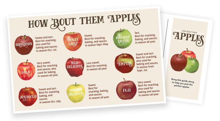 How Bout Them Apples: A Guide to Apple Varieties How Bout Them Apples: A Guide to Apple Varieties