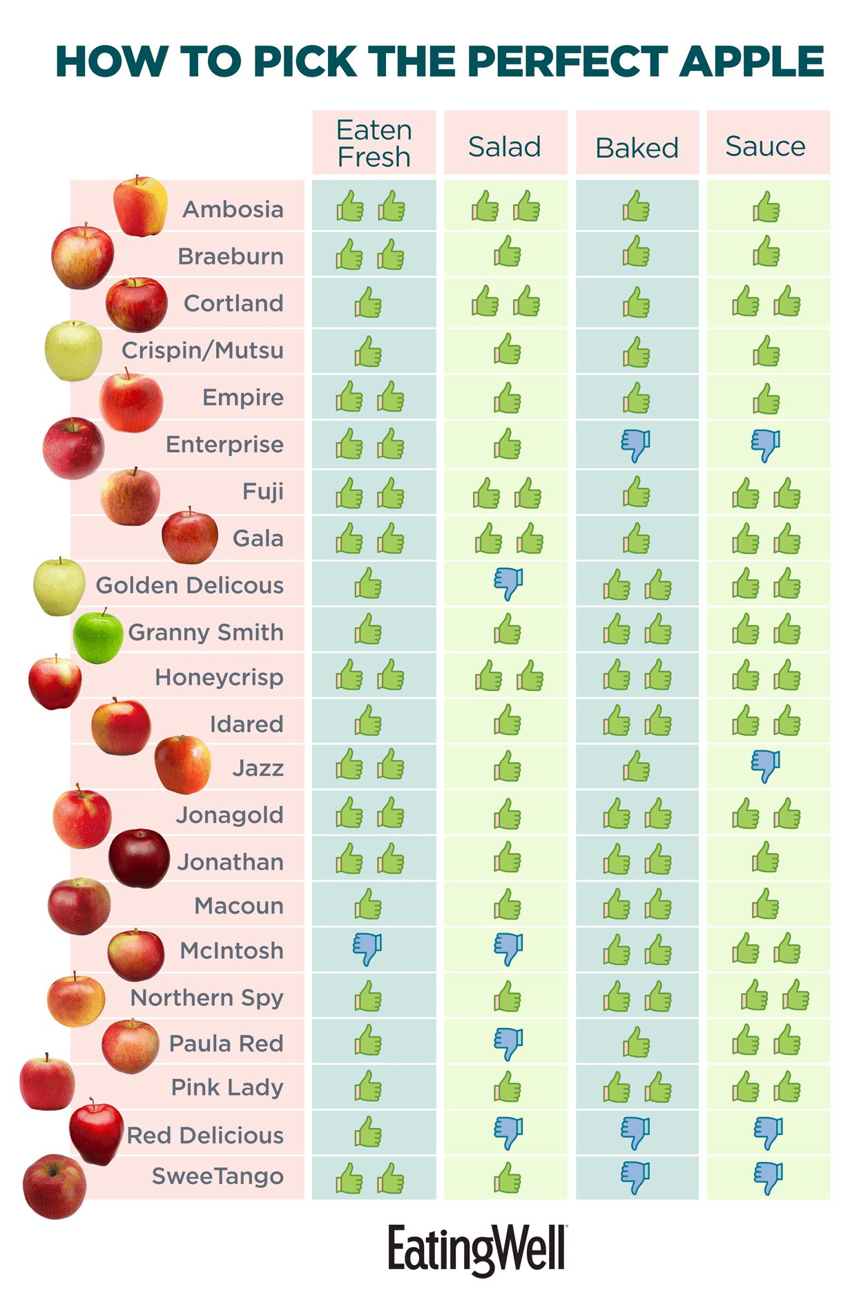 How Bout Them Apples: A Guide to Apple Varieties How Bout Them Apples: A Guide to Apple Varieties