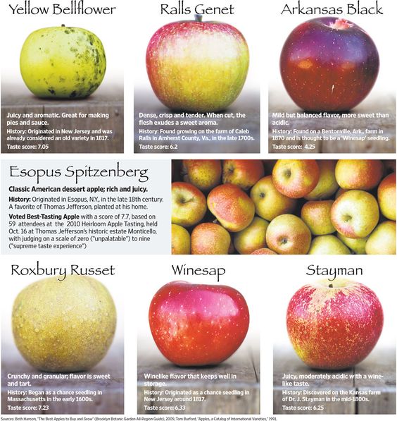 How Bout Them Apples: A Guide to Apple Varieties How Bout Them Apples: A Guide to Apple Varieties