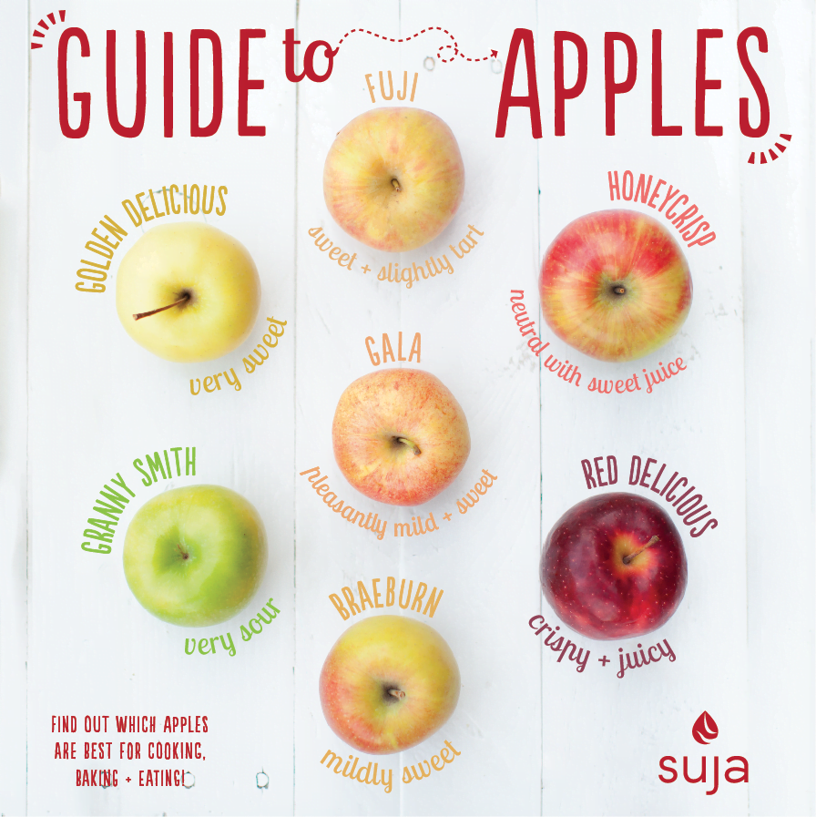 How Bout Them Apples: A Guide to Apple Varieties How Bout Them Apples: A Guide to Apple Varieties