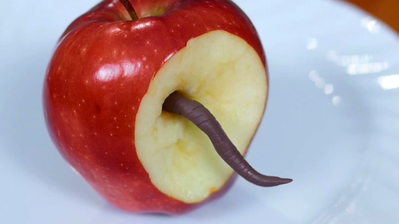 How Do Worms Get In Apples