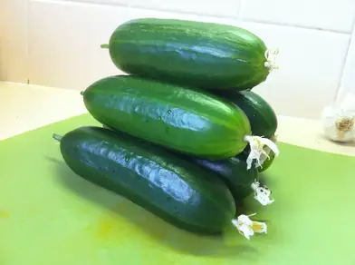 How Long Do Vacuum Sealed Cucumbers Last? How Long Do Vacuum Sealed Cucumbers Last?